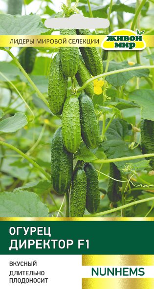 Огурец ДИРЕКТОР F1 (5шт) ЗК