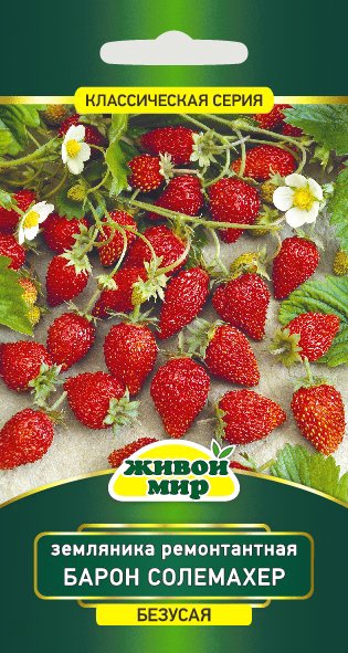 Земляника ремонтантная Барон Солемахер W.Legutko 0,1г