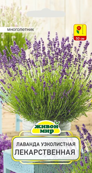 Лаванда узколистная Лекарственная 0,3 гр.