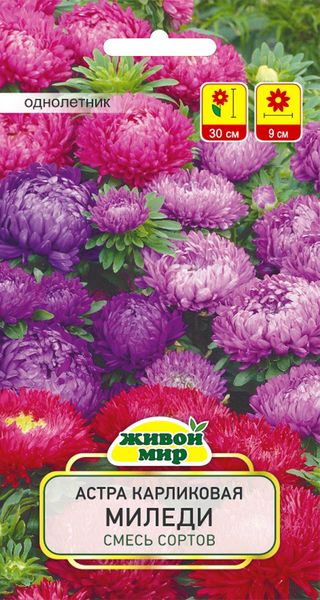 Астра карликовая Миледи смесь сортов (W.Legutko) 0,5г