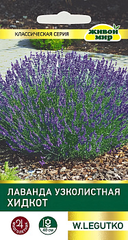 Лаванда узколистная Хидкот 0,1 гр.