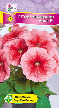 Петуния гибр многоцв Алла F1, 10шт