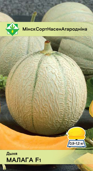Дыня Малага F1 6шт, Польша