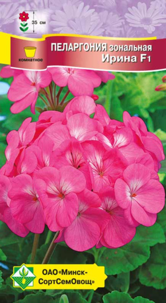 Пеларгония зональная Ирина F1 4 шт