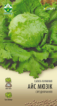 Салат Айс Мюзик кочанный 20шт (Эксперт)