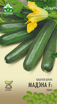 Кабачок Модена F1 6шт (Эксперт)