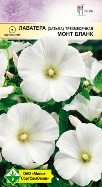 Лаватера трехмесячная Монт Бланк 0,5 г