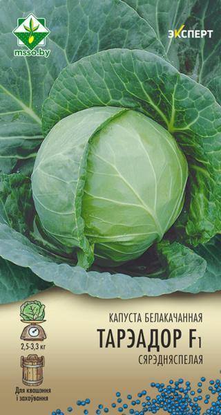 Капуста б/к Тореадор F1 12 шт Эксперт