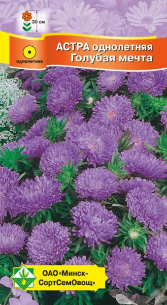 Астра карликовая Голубая мечта 0,3г.