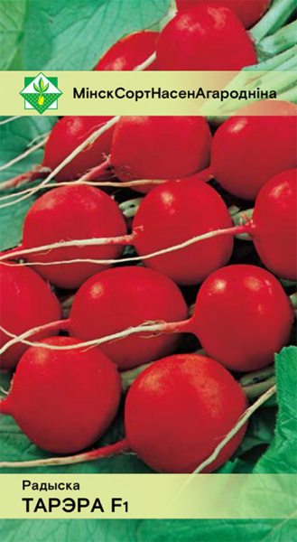 Редис Тореро F1 1г, Германия