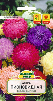 Астра Пионовидная смесь сортов (W.Legutko) 0,5г