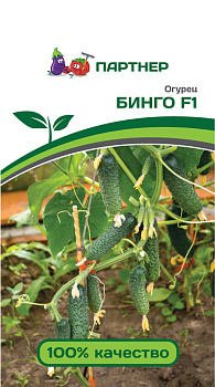 Огурец Бинго F1 (5шт)