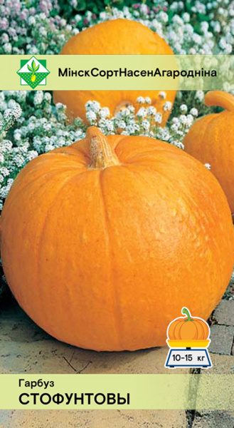 Тыква Стофунтовая 10 шт