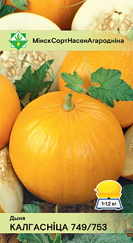 Дыня Колхозница 10 шт