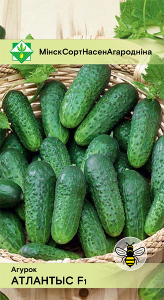 Огурец Атлантис F1 10шт (Эксперт)