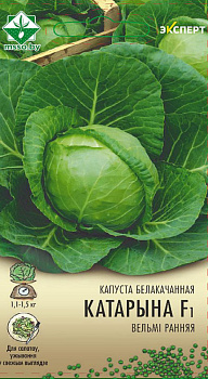 Капуста Катарина F1 б/к 12шт Эксперт