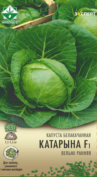 Капуста Катарина F1 б/к 12шт Эксперт