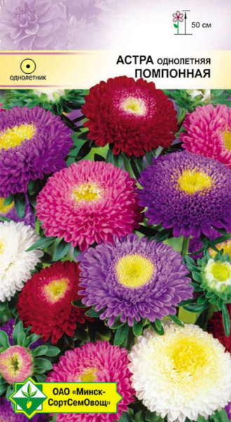 Астра Помпонная см 0,3г