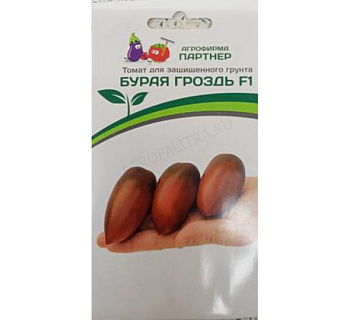 Томат Бурая Гроздь F-1 (10шт)