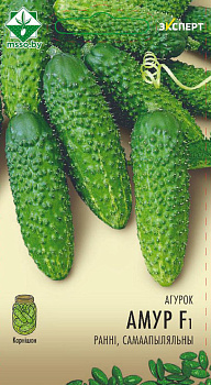 Огурец Амур F1 (10шт)