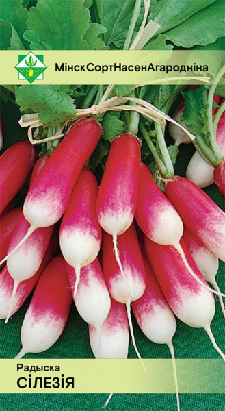 Редис Силезия 2г