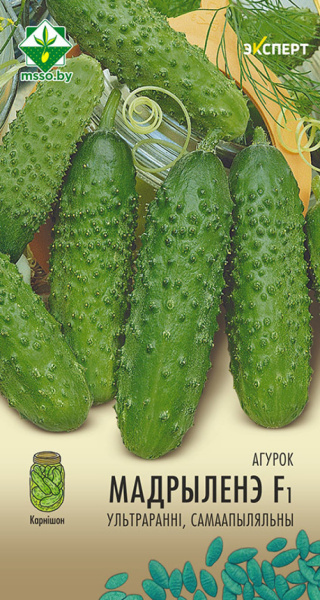 Огурец Мадрилене F1 5шт (Эксперт)