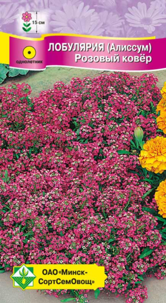 Лобулярия (Алиссум) Розовый ковер (W.Legutko) 0,3 г