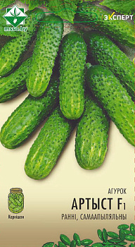 Огурец Артист F1 10шт (Эксперт)