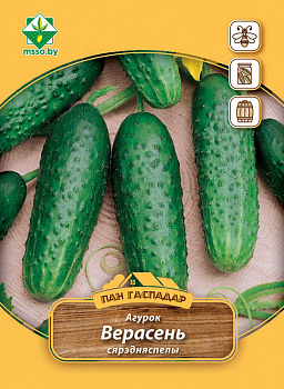 Огурец Верасень 3г (Пан Гаспадар)