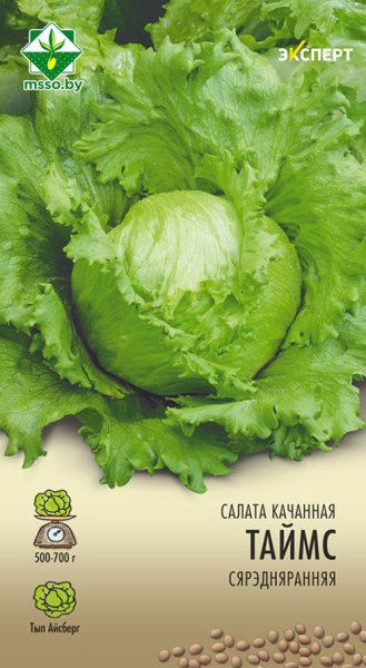 Салат Таймс кочанный 20шт, (Эксперт)