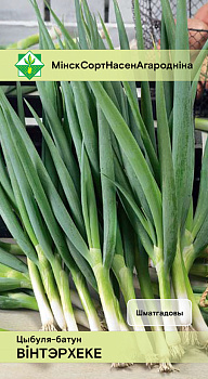 Лук-батун Винтерхеке 0,5 г