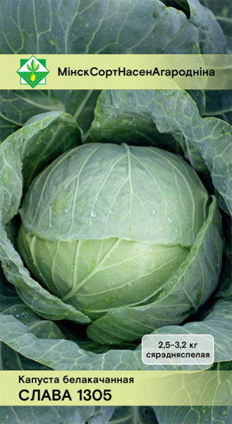 Капуста Слава 1305 б/к