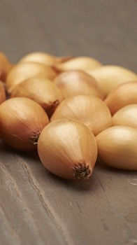 Лук-севок Стурон (выборок) (калибр 21-24 мм) 0,5 кг
