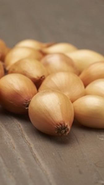 Лук-севок Стурон (калибр 10-21 мм) 0,5 кг