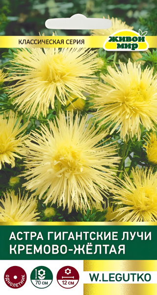 Астра Гигантские лучи кремово-желтая (W.Legutko) 0,3г