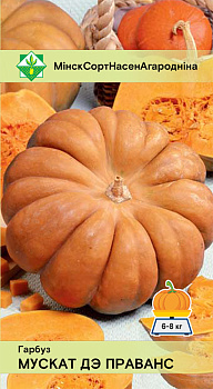 Тыква Мускат де Прованс 5шт