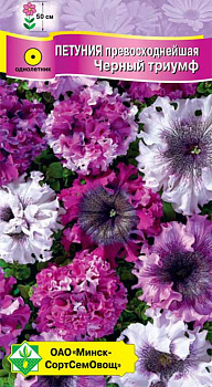 Петуния гибр превосходнейшая Черный триумф 7 шт