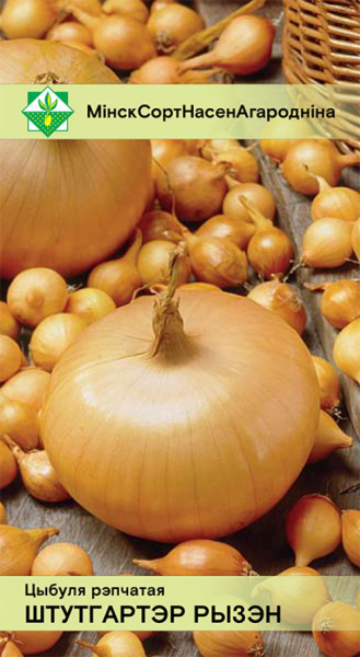 Лук-севок Штуттгартер Ризен (выборок) (калибр 21-24 мм) 0,5 кг