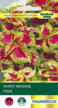 Колеус Виззард Роуз 10шт