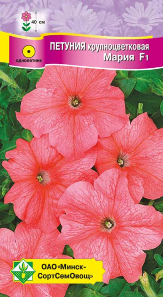 Петуния гибр крупноцв. Мария F1 10 шт