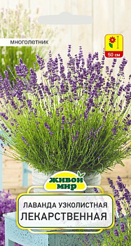 Лаванда узколистная Лекарственная 0,3 гр.