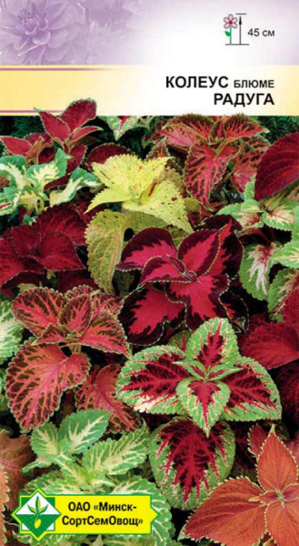 Колеус блюме Радуга смесь 0,1г