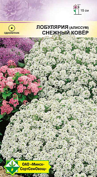 Лобулярия (Алиссум) Снежный ковер (W.Legutko) 0,3 г
