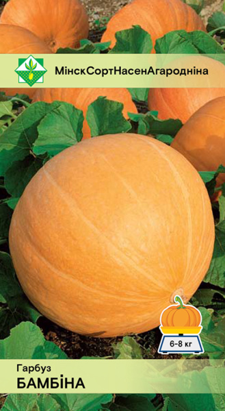 Тыква Бамбино 5 шт