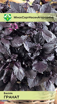 Базилик Гранат фиолетовый 0,2г. Индия