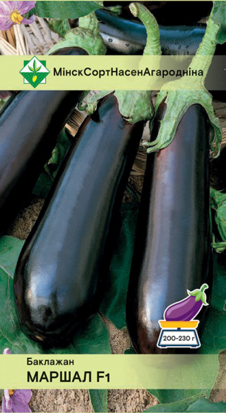 Баклажан Маршал F1 10 шт
