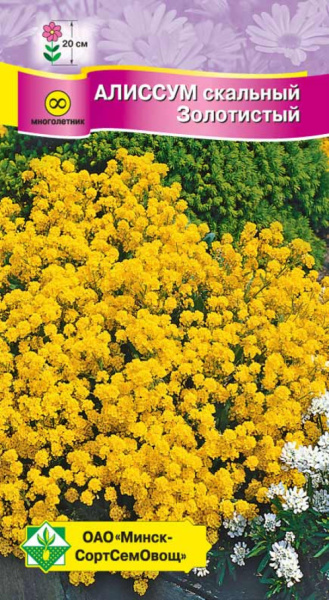 Алиссум скальный золотистый 0,15г