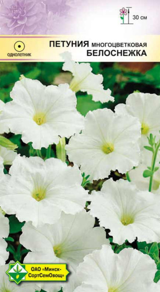 Петуния гибр многоцвет. Белоснежка, 200шт