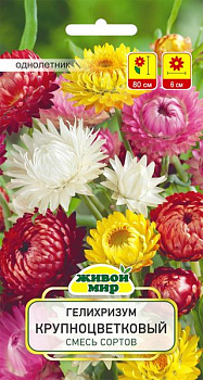 Гелихризум Крупноцветковый смесь (W.Legutko) 0,5г,