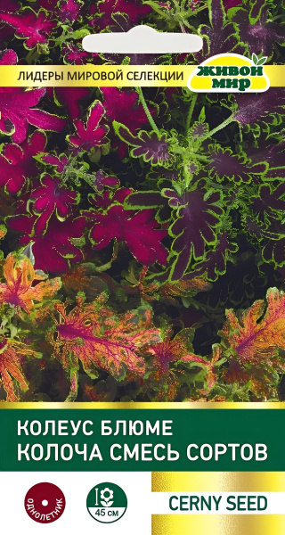 Колеус блюме Колоча смесь 10шт